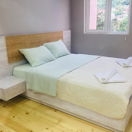 Diasamidzeebi Apartment ボルジョミ エクステリア 写真