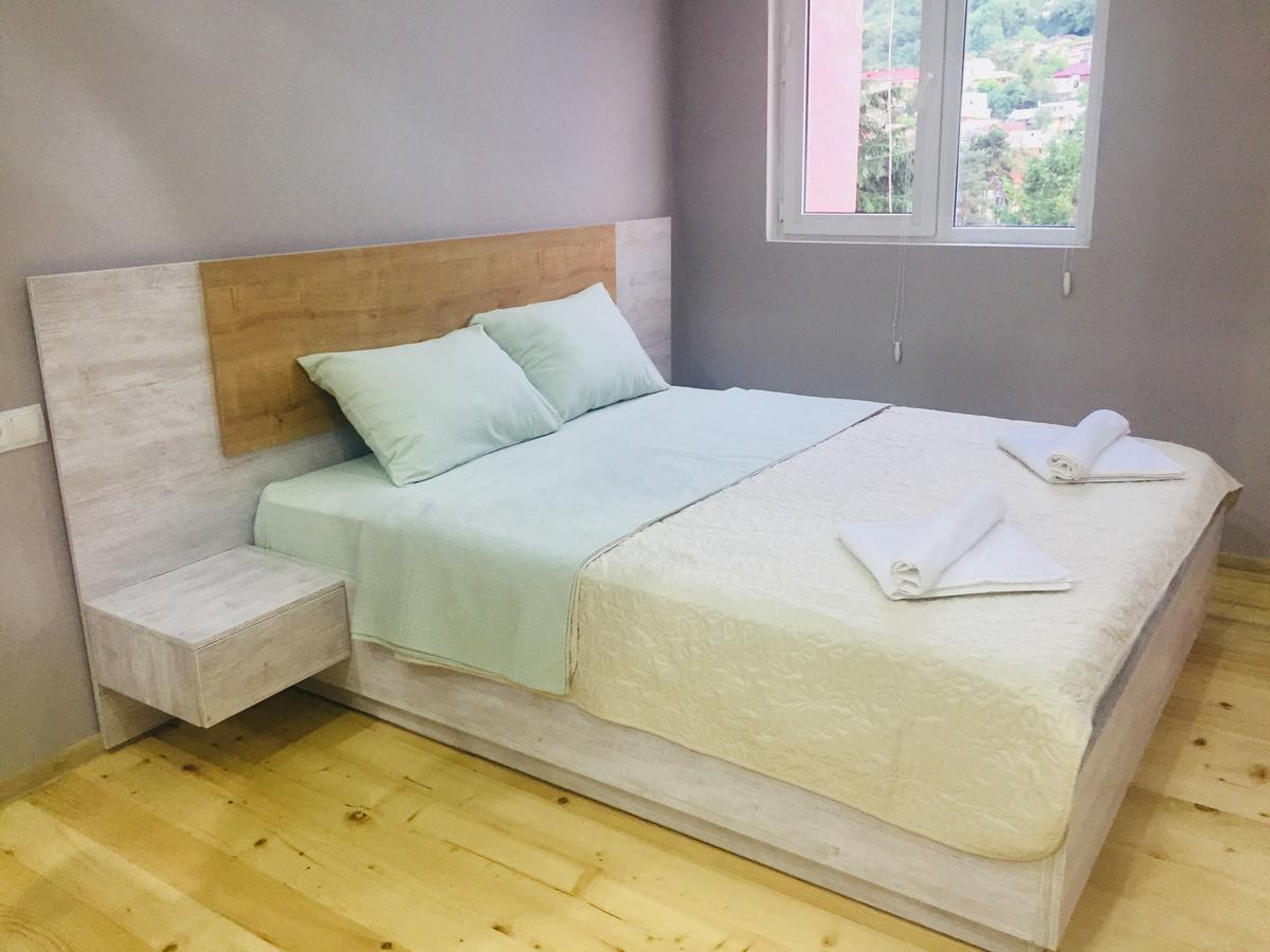 Diasamidzeebi Apartment ボルジョミ エクステリア 写真