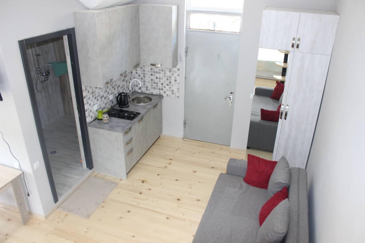 Diasamidzeebi Apartment ボルジョミ エクステリア 写真