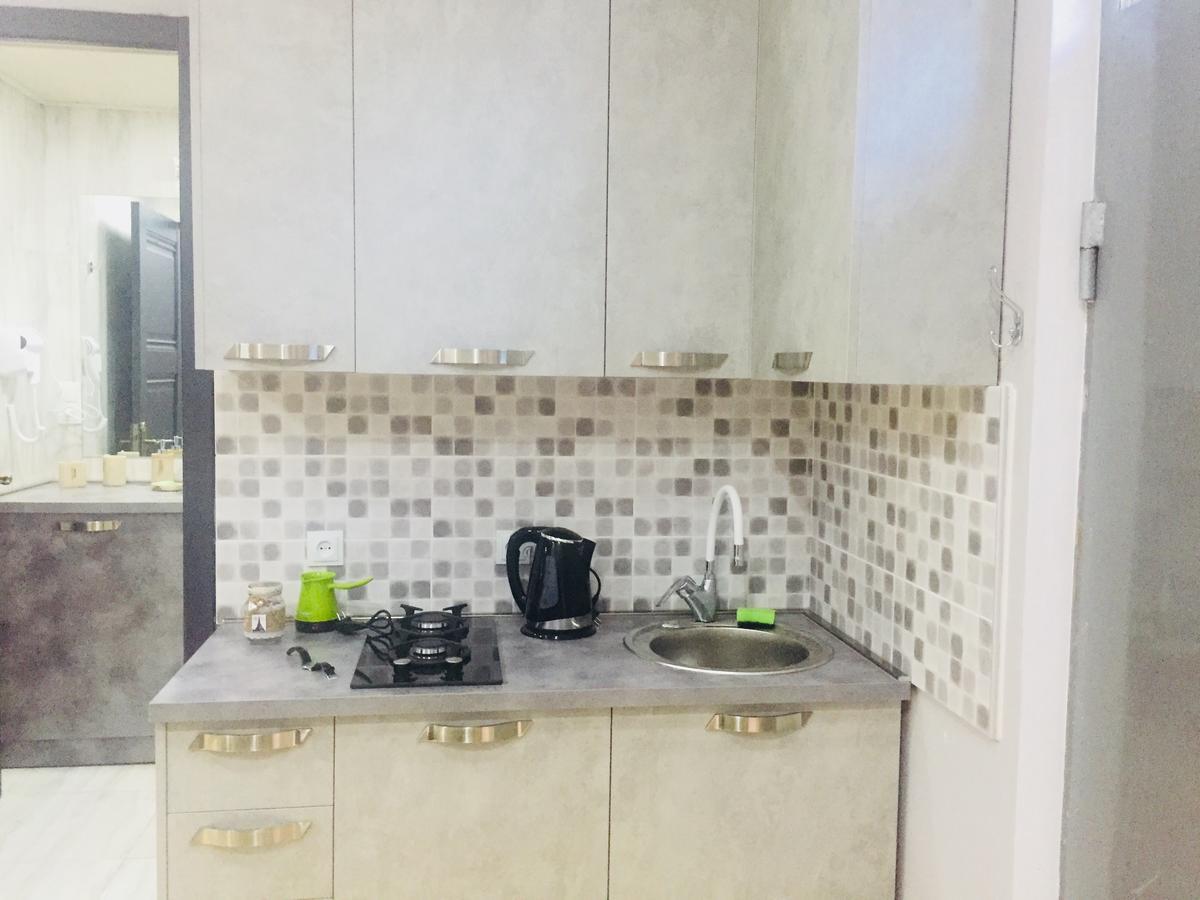 Diasamidzeebi Apartment ボルジョミ エクステリア 写真