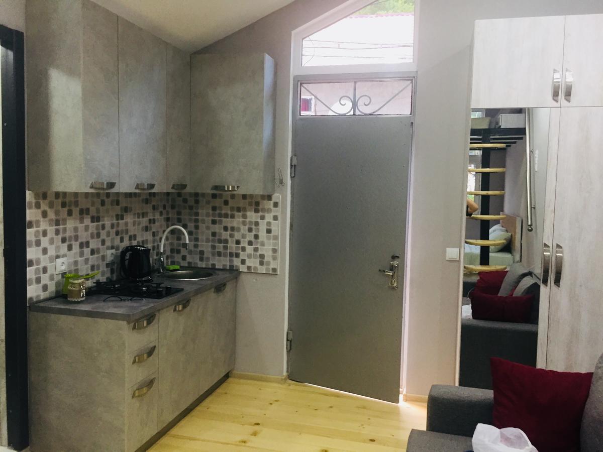 Diasamidzeebi Apartment ボルジョミ エクステリア 写真