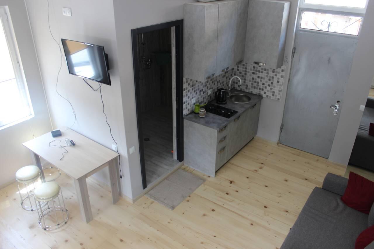 Diasamidzeebi Apartment ボルジョミ エクステリア 写真