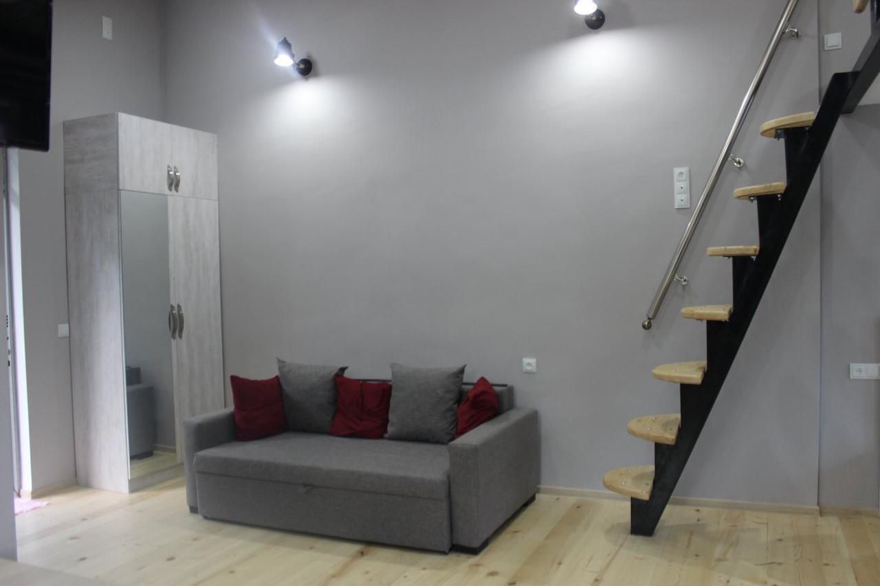 Diasamidzeebi Apartment ボルジョミ エクステリア 写真